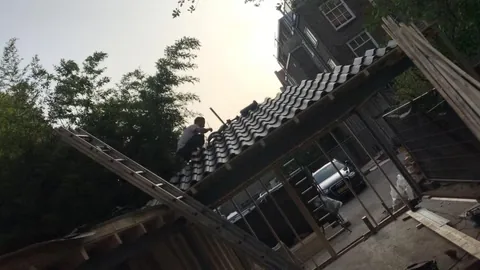 Dakinspectie